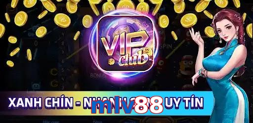 mlv88