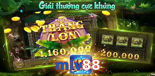 mlv88